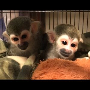 Meet your Posher, Karen